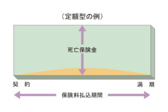終身 掛け 保険 捨て