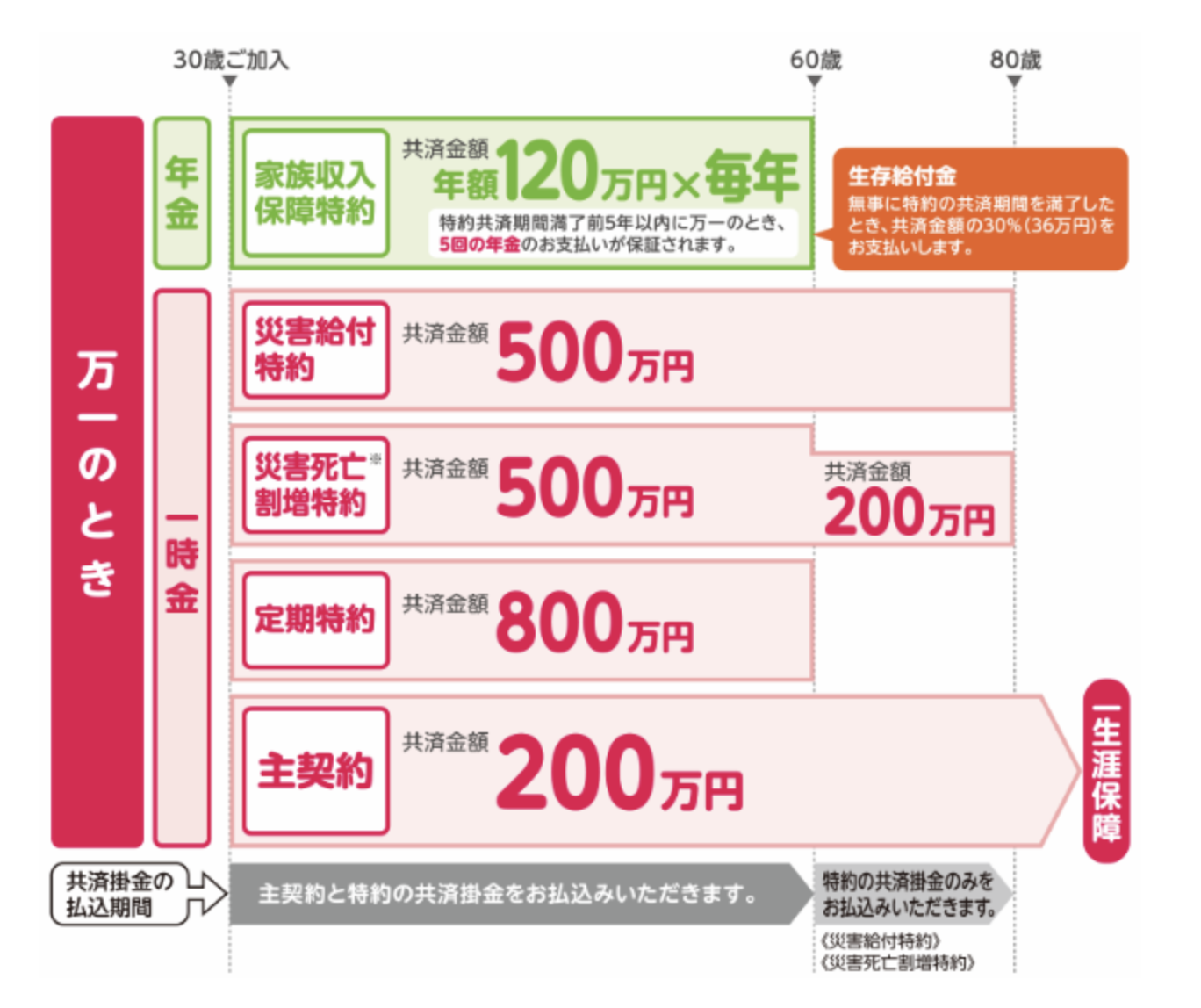 Jaの共済保険 絶対知っておくべき各種保障を徹底解説 マネーグロース